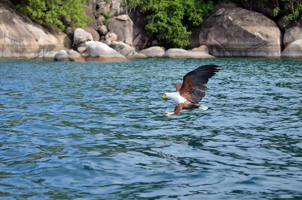 Lago Malawi