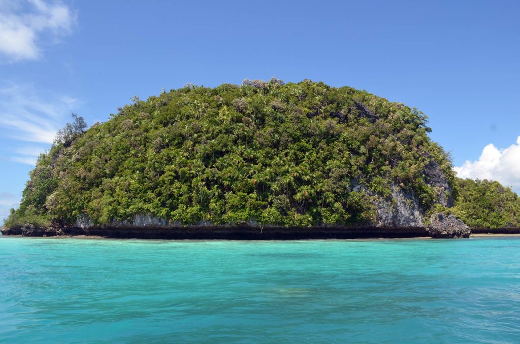 o que fazer no Palau