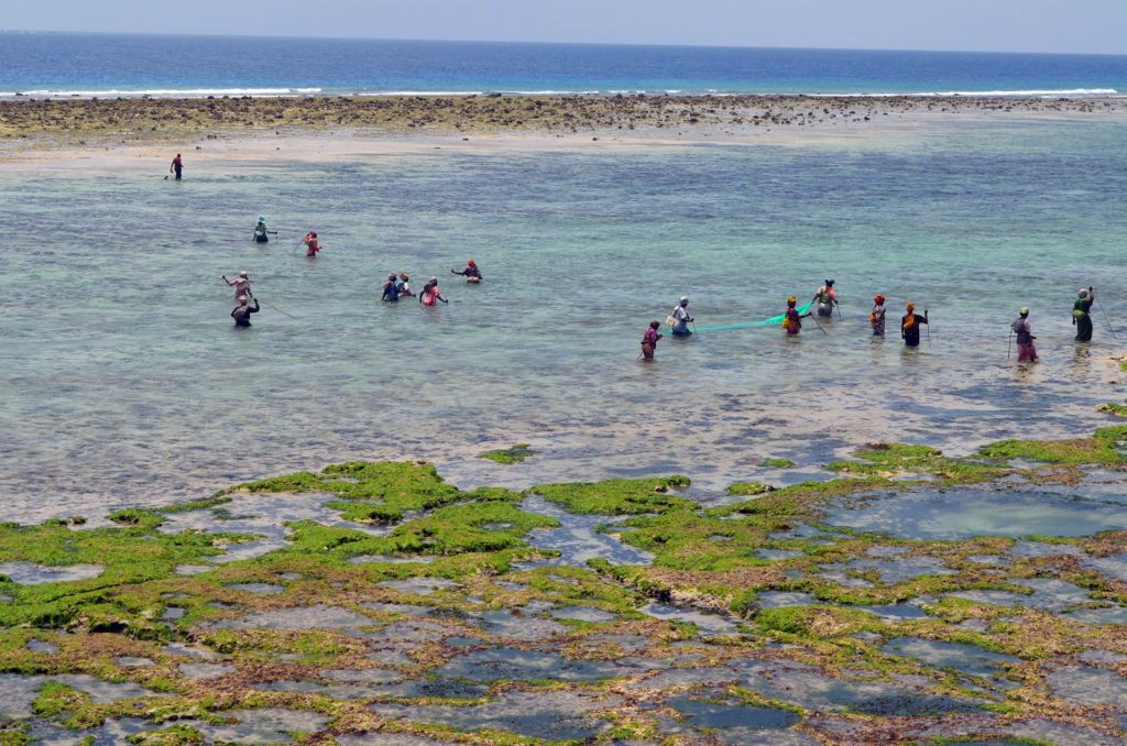 roteiro em Zanzibar