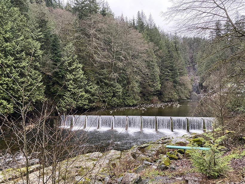 O que fazer em Vancouver? Que tal uma visita a uma fazenda de salmão no rio Capilano