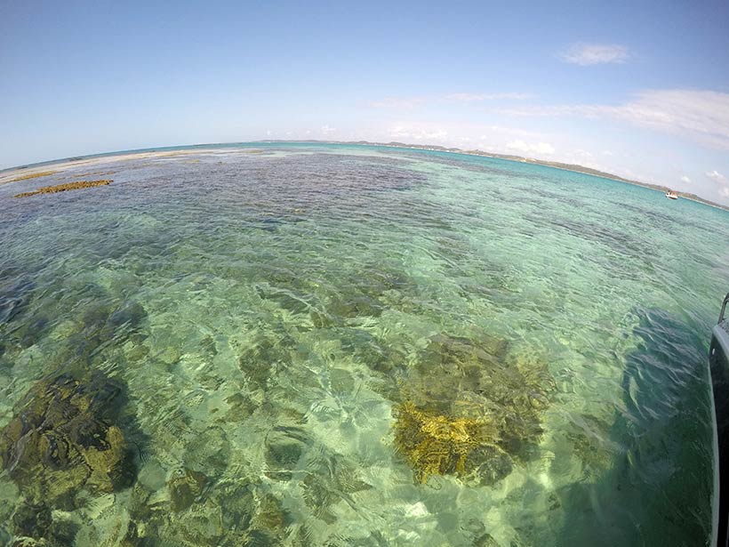 Mar de Alagoas, próximo a Maragogi