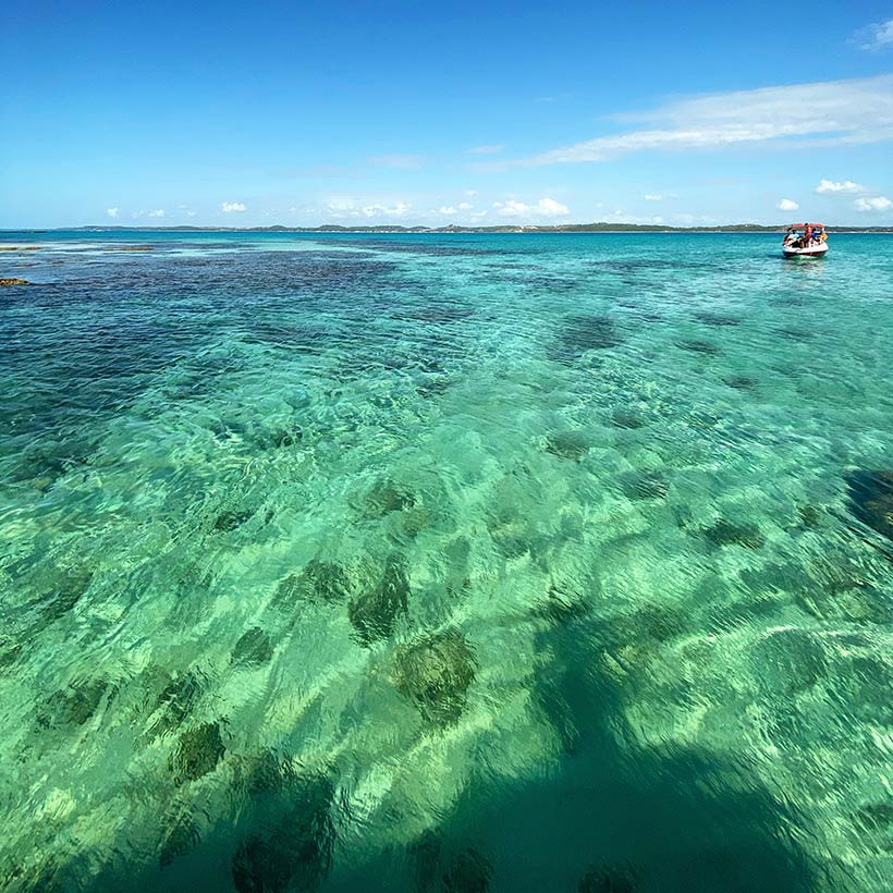 Piscinas naturais em Maragogi