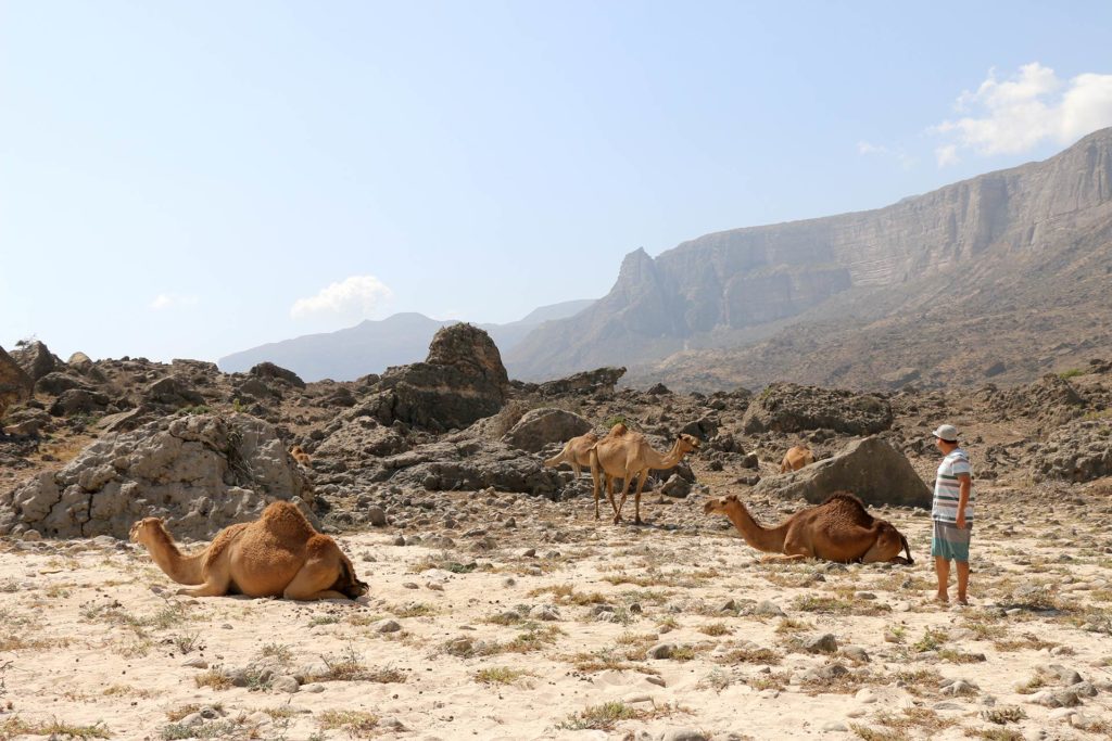 Salalah no Omã