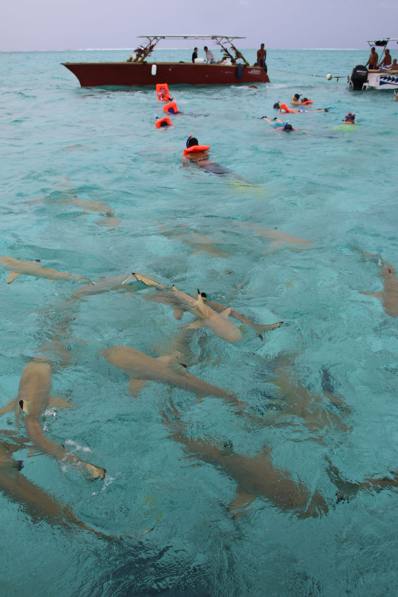 o que fazer em Bora Bora