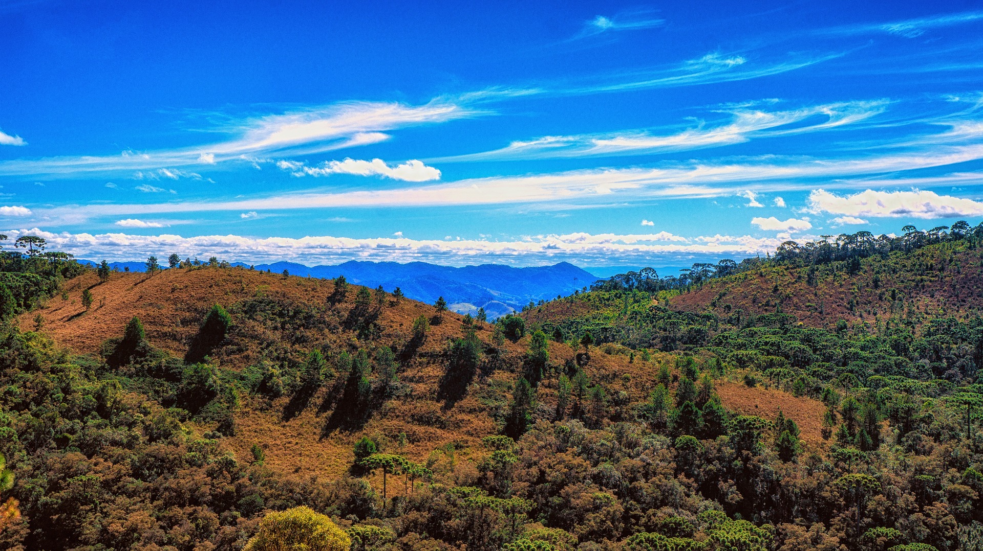 Lugares para viajar em SP:Campos do Jordão